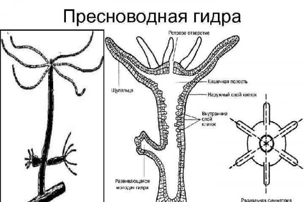 Кракен онлайн vtor run