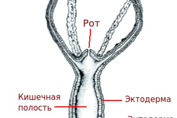 Браузер кракен