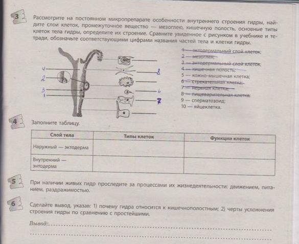 Кракен сообщество